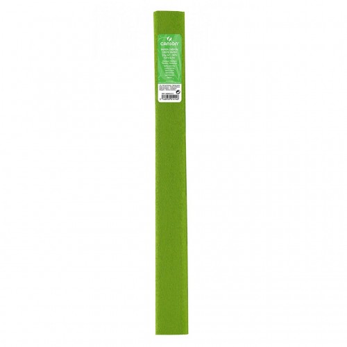1-PAPER CRESPO 0.5X2.5 MTS VERD PRIMAVERA (10