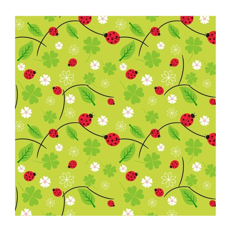 1-BOBINA PAPER REGAL 62CMS TOT TEMPS